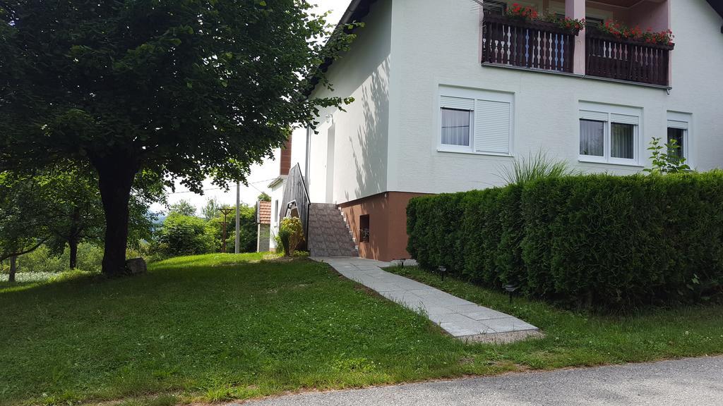Apartment Nina Dreznik Grad Exterior photo